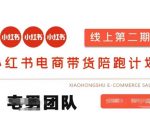 小红书电商带货课2期，月利润20个的小红书电商的有货源，无货源，虚拟产品，付费投流等整套玩法