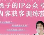 桃子IP公众号内容获客训练营(第3期)，一门让你公众号从0到商业闭环的课程