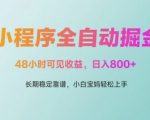 微信小程序全自动掘金，48小时可见收益，日入多张，长期稳定靠谱，小白宝妈轻松上手【揭秘】