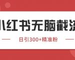 小红书只要你有同行就能获客，独家野路子获客玩法，暴力截流【揭秘】