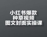小红书爆款种草视频图文封面实操课，​开店、选品、引流、变现全流程
