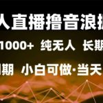 无人直播撸音浪掘金，日入1k+，纯无人红利期，小白可做，当天见效【揭秘】