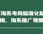 2025年淘系电商标准化起店流程私教班，淘系推广视频教程