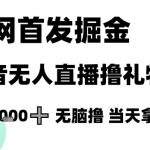全网首发掘金抖音无人直播撸礼物，单号1k +无脑撸，当天拿结果【揭秘】