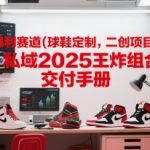 小众暴利赛道(球鞋定制，二创项目)实体+私域2025王炸组合  交付手册