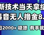 2025六月最新抖音无人撸金8.0.最新技术当天拿结果，单日1k+ 有手就行【揭秘】
