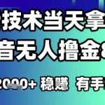 2025六月最新抖音无人撸金8.0.最新技术当天拿结果，单日1k+ 有手就行【揭秘】
