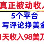 写评论挣美金的5个平台，1天收入98美刀，0门槛，真正被动收入