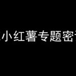 ME小红薯专题密训-小红书电商教程