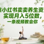 靠小红书卖养生资料实现月入5位数，一条视频教会你