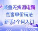 咸鱼无货源电商，高客单价玩法，新手1个月入门