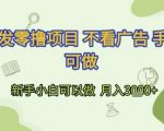 首发零撸项目 不看广告 手机可做 新手小白可以做  月入3k+【揭秘】