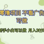 首发零撸项目 不看广告 手机可做 新手小白可以做  月入3k+【揭秘】