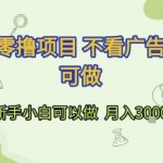 首发零撸项目 不看广告 手机可做 新手小白可以做  月入3k+【揭秘】