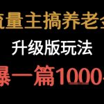 流量主之养老金升级版玩法  爆一篇收益1k+