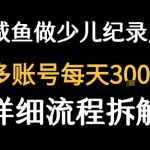 闲鱼卖纪录片1单3块钱  1天几十单