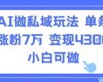 AI做私域玩法，单条视频涨粉7W变现4.3k，小白可做