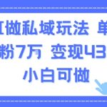 AI做私域玩法，单条视频涨粉7W变现4.3k，小白可做