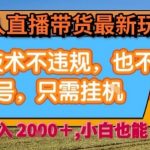 淘宝无人直播带货最新玩法，独家技术不违规，也不封号，全自动运行，只需挂着，  稳定日入2k【揭秘】