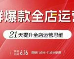 贾真电商群爆款全店运营，21天提升全店运营思维，起店、全店运营爆款不断
