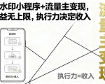 去水印小程序+流量主变现，收益无上限，执行力决定收入