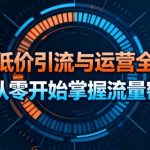 淘宝低价引流与运营全攻略，从零开始掌握流量密码