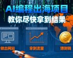 AI编程出海项目,教你尽快拿到结果-做出网站、拿到流量、賺到钱 AI编程出海项目,教你尽快拿到结果-做出网站、拿到流量、賺到钱