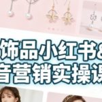 抖音+小红书饰品卖货：货源、开店、内容全教会，让新手快速掌握饰品线上营销全流程，轻松开启变现路