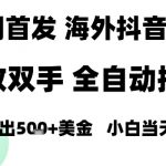 海外抖音无人直播，单日产出1.5k+，长期稳定，新手可玩，无脑操作【揭秘】