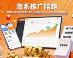 淘系推广陪跑，全维度讲解淘系付费推广逻辑，从理论到实操，系统化助力店铺盈利