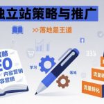 品牌独立站策略与推广，学习是开始，落地是王道