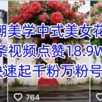 Ai国潮美学中式美女花墙，一条视频点赞18.9W，快速起千粉万粉号