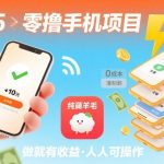 2025年零撸手机项目，二十秒一单，纯薅羊毛 一天2张+做就有【揭秘】