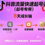 抖音流量快速起号课（起号专用），8天带你做爆自己的账号