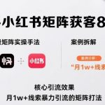 抖音快手小红书矩阵获客8月线下课，完整保姆级矩阵实操手法与案例拆解，月1w+线索暴力引流的矩阵打法