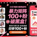 小红书暴力矩阵起号，教你打通引流-变现速通，日锁100+粉，破流量黑盒