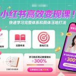 小红书高效变现课，快速学习小红书完整体系和具体落地打法