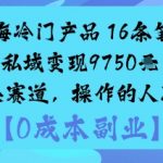 蓝海冷门产品：16条笔记私域变现9750米小众赛道，操作的人不多
