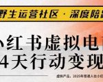 小红书虚拟电商14天变现训练营3.0,虚拟产品,2025年普通人在小红书最后的搞钱机会 小红书虚拟电商14天变现训练营3.0,虚拟产品,2025年普通人在小红书最后的搞钱机会