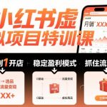 小红书虚拟项目特训课，帮你从0到1打造稳定盈利的店铺，抓住流量红利（更新9月）