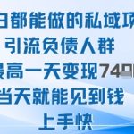 2025年小白都能做的私域项目引流负债人群最高一天变现1k+高变现难度低当天就能见到钱上手快