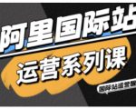 阿里国际站运营系列课,涵盖精准引流、直通车与全站推实战SOP,搭配AI效率工具包与高阶增长玩法 阿里国际站运营系列课,涵盖精准引流、直通车与全站推实战SOP,搭配AI效率工具包与高阶增长玩法