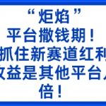 “炬焰”：平台撒钱期！抓住新赛道红利，5分钟二创内容，收益是其他平台几倍！