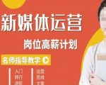 新媒体运营高薪升核培养计划，入门-转行-进阶