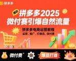拼多多2025微付费引爆自然流量，拼多多电商运营教程，运营、推广、打爆品、微付费（更新）