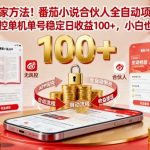 独家方法！番茄小说合伙人全自动挂G项目，无风控单机单号稳定日收益100+，小白也能做【揭秘】