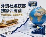 外贸社媒获客独家训练营，外贸新模式，快速做外贸