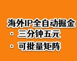 海外ip全自动掘金，2025必做蓝海项目，3分钟落地，矩阵直接开干【揭秘】