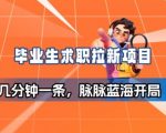 毕业生求职项目拆解_脉脉拉新空白市场，蓝海开局