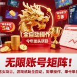 无限账号矩阵！今年龙头项目，游戏试玩全自动，简单操作，单号单日5张【揭秘】